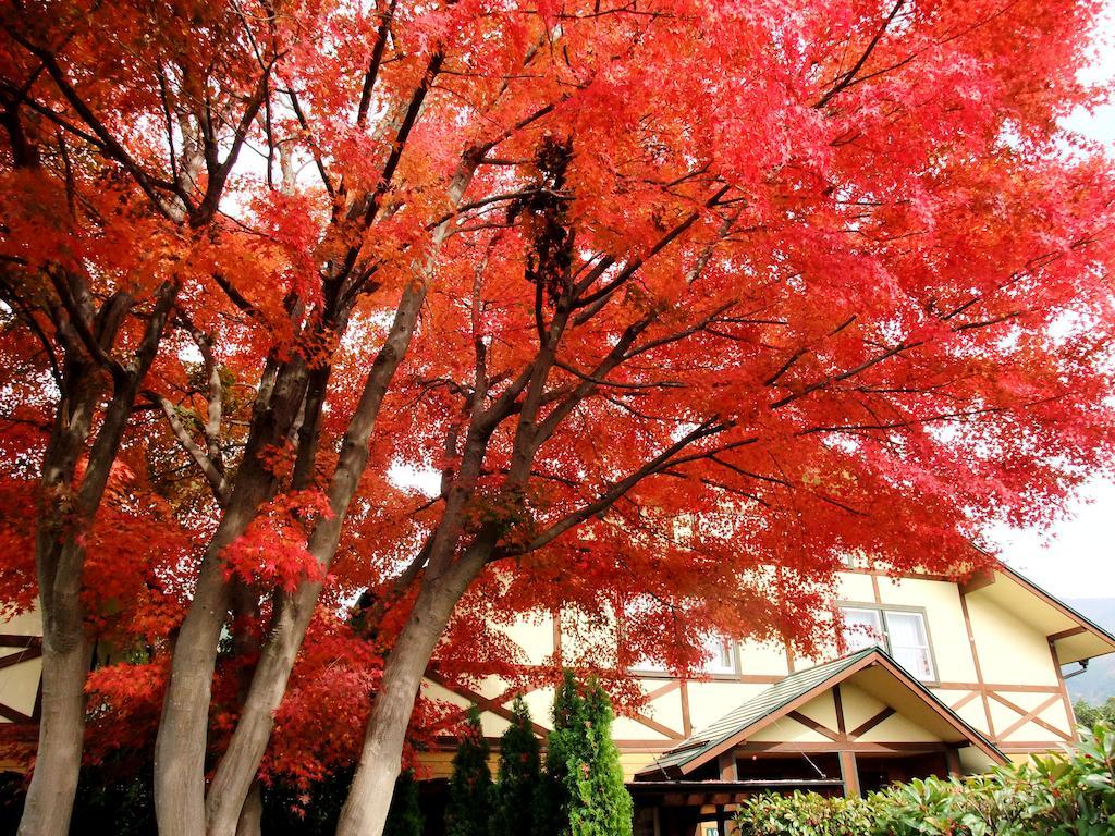Lake Villa Kawaguchiko Fujikawaguchiko Bagian luar foto