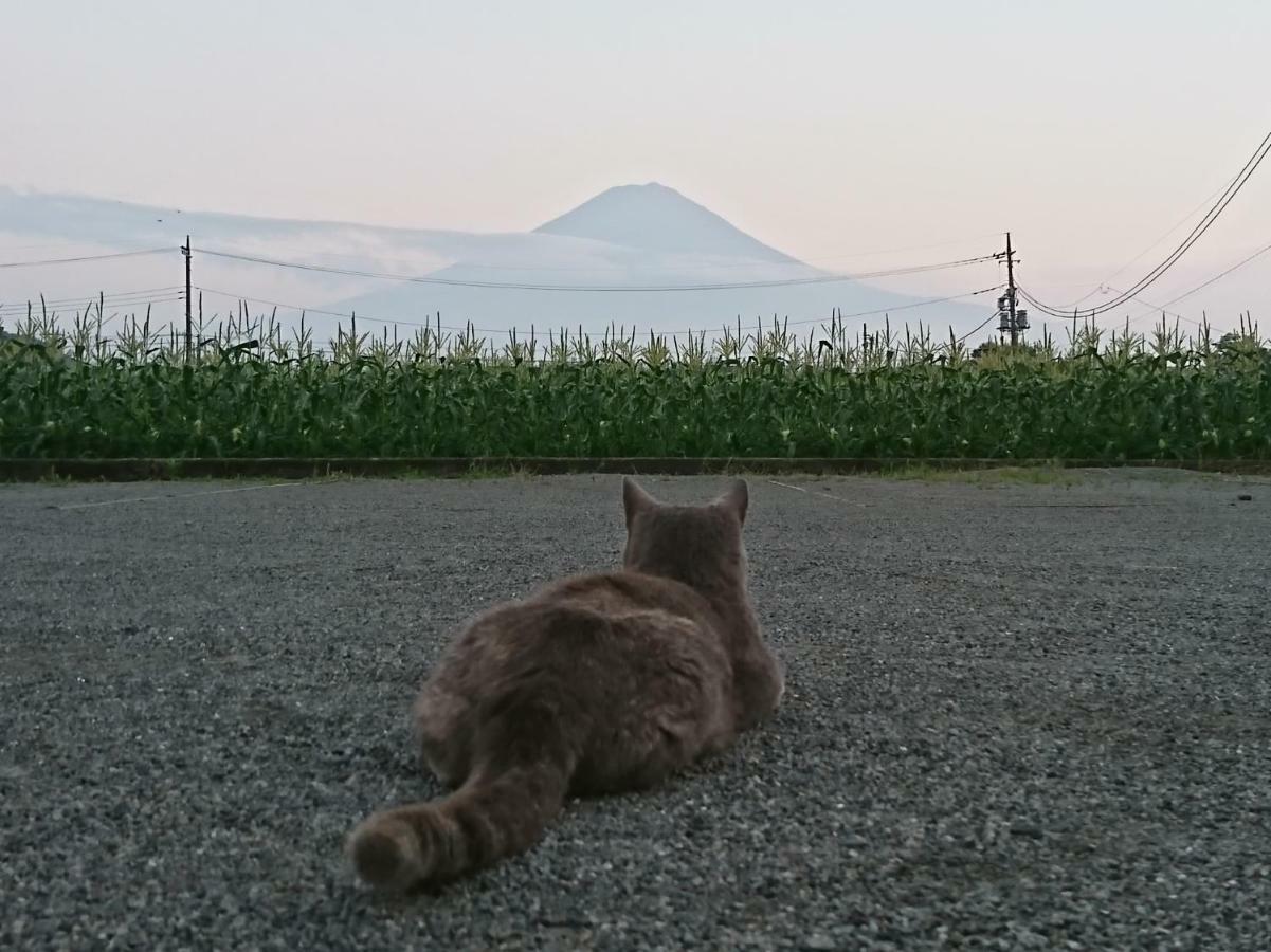 Lake Villa Kawaguchiko Fujikawaguchiko Bagian luar foto