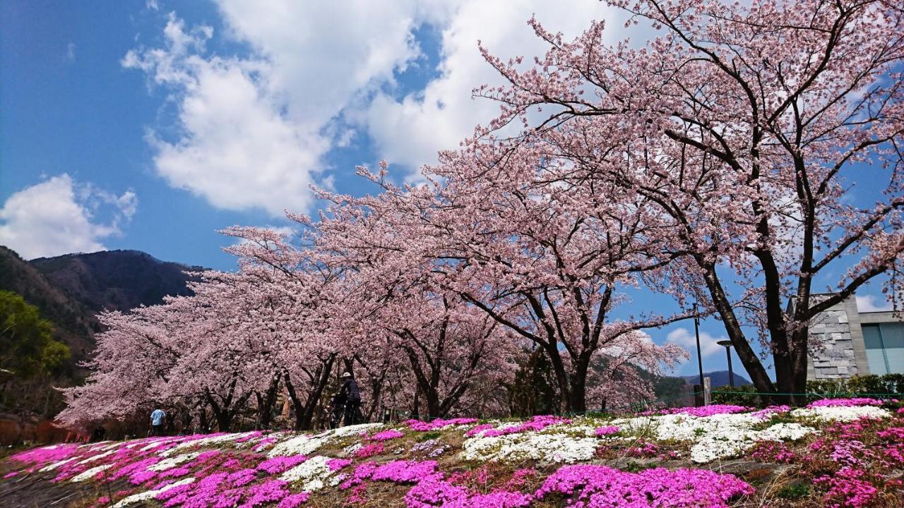 Lake Villa Kawaguchiko Fujikawaguchiko Bagian luar foto